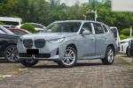 2025 BMW X3 212HP 5 Seat Auto Luxury SUV – For Sale From China  | EVOVED